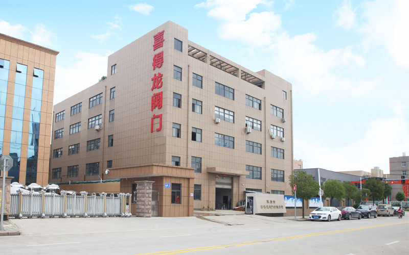 China Wenzhou Xidelong Valve Co. LTD Perfil de la compañía