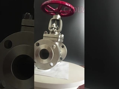 Volante de dirección SS de la junta 150LB de PTFE válvula de globo ensanchada 3 pulgadas