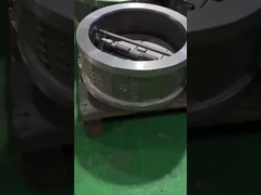 válvula de verificación de doble placa