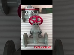 Válvula de puerta del tronco sin elevación PN16