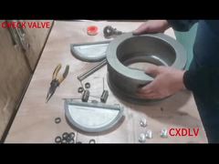 Recolección de válvulas de verificación de placas dobles de obleas