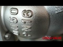 DN50 DN80 DN100 de acero inoxidable globo para detener el levantamiento de la válvula de verificación estilo de conexión de brida
