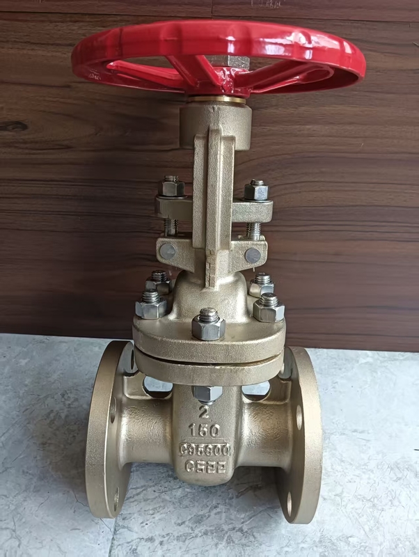 Válvula de compuerta de acero inoxidable CF8 con conexión de brida para aplicaciones industriales y de servicio pesado