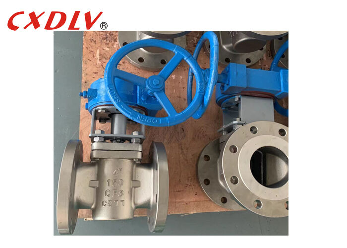 Two-Way Sleeved Plug Valve CF8 Body with Worm Gear Operation 4 Inch 150LB RF Connection